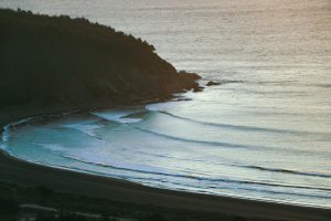 spot surf chili
