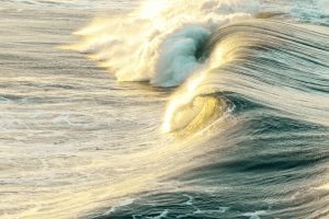 spot surf cambodge